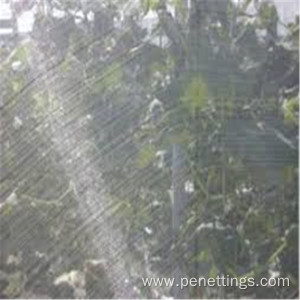 5years lifttime Anti Insect Netting